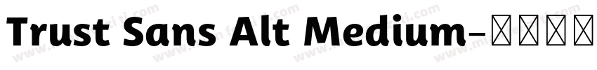 Trust Sans Alt Medium字体转换